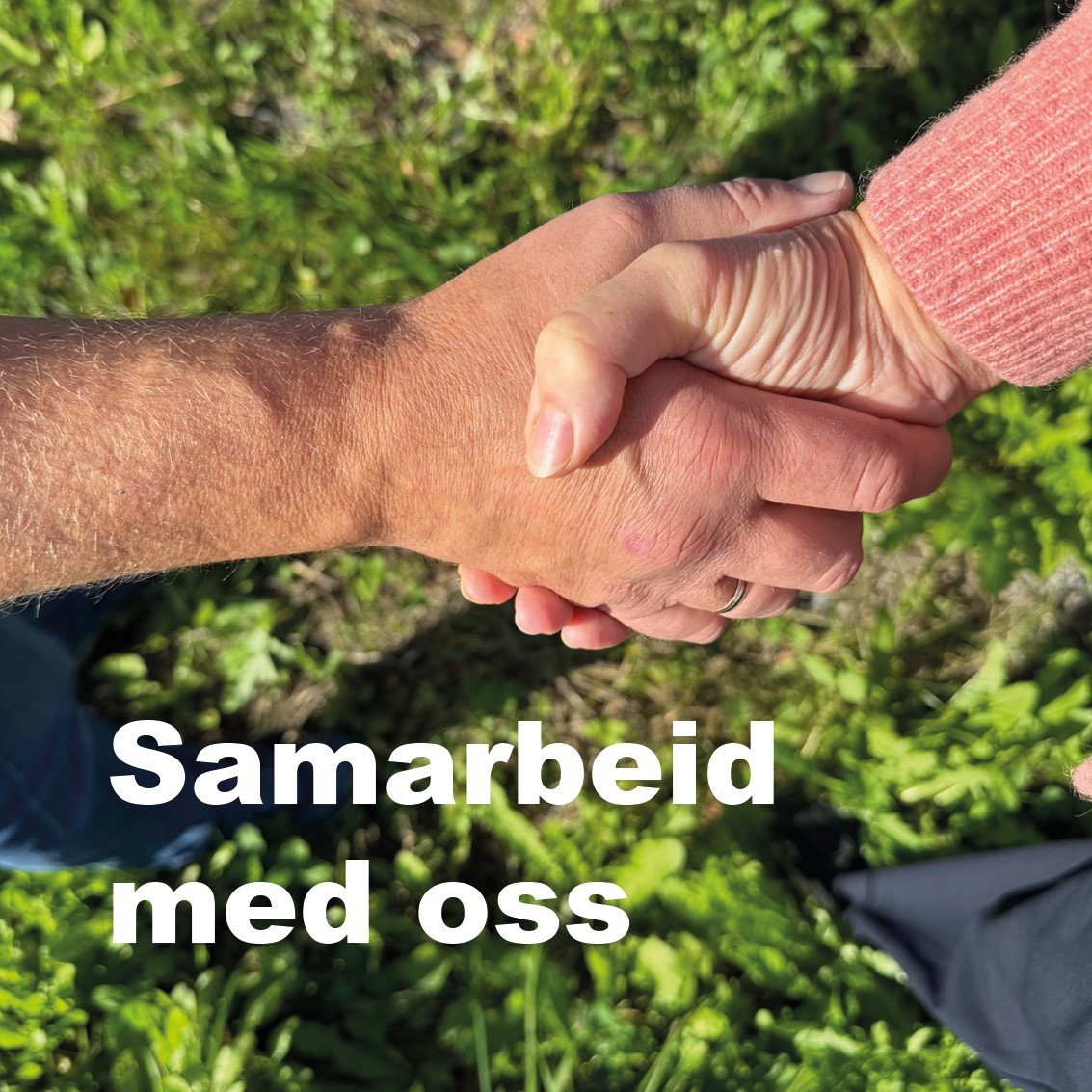 Samarbeid med oss